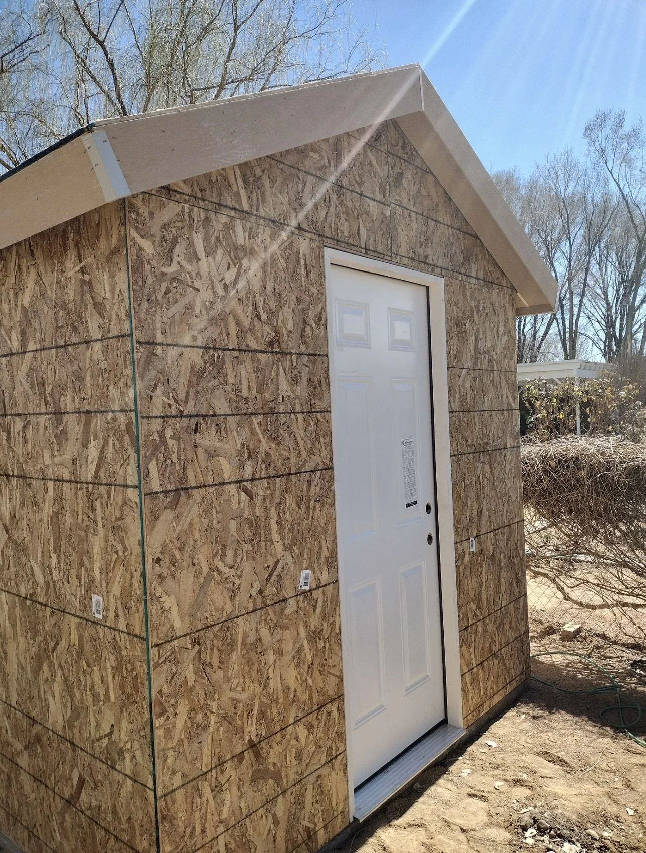 Shed framing project